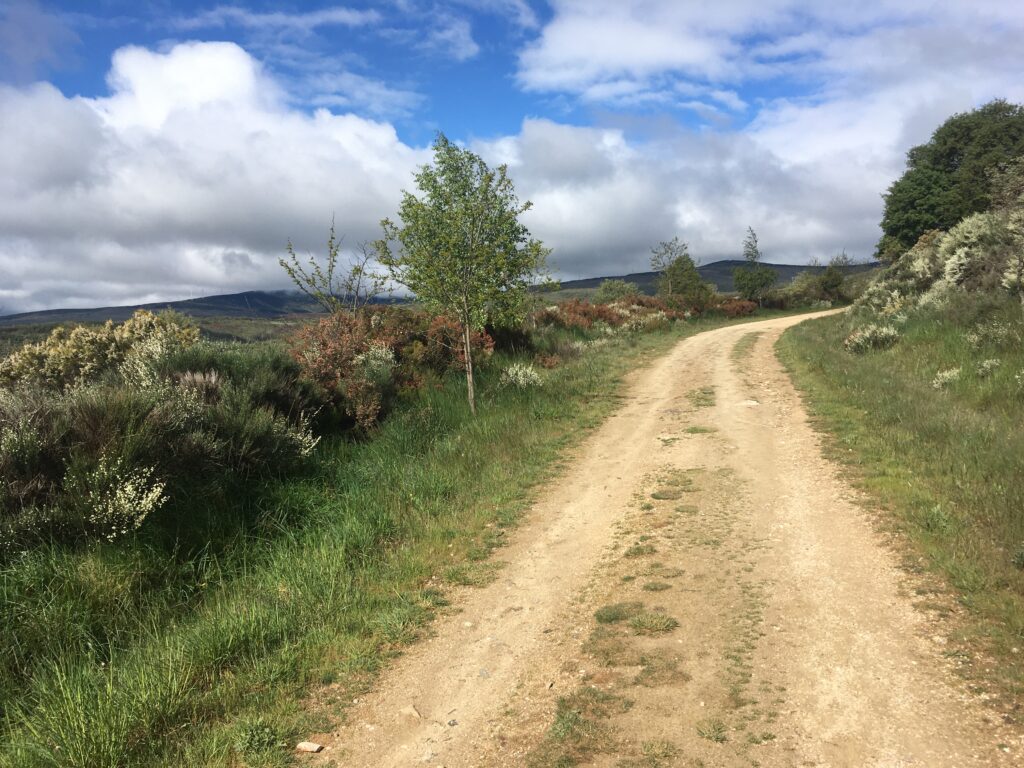 Camino de Santiago